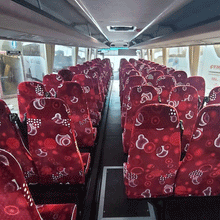 Load image into Gallery viewer, Cogent Plaxton Leopard 72 Seat Conversion
